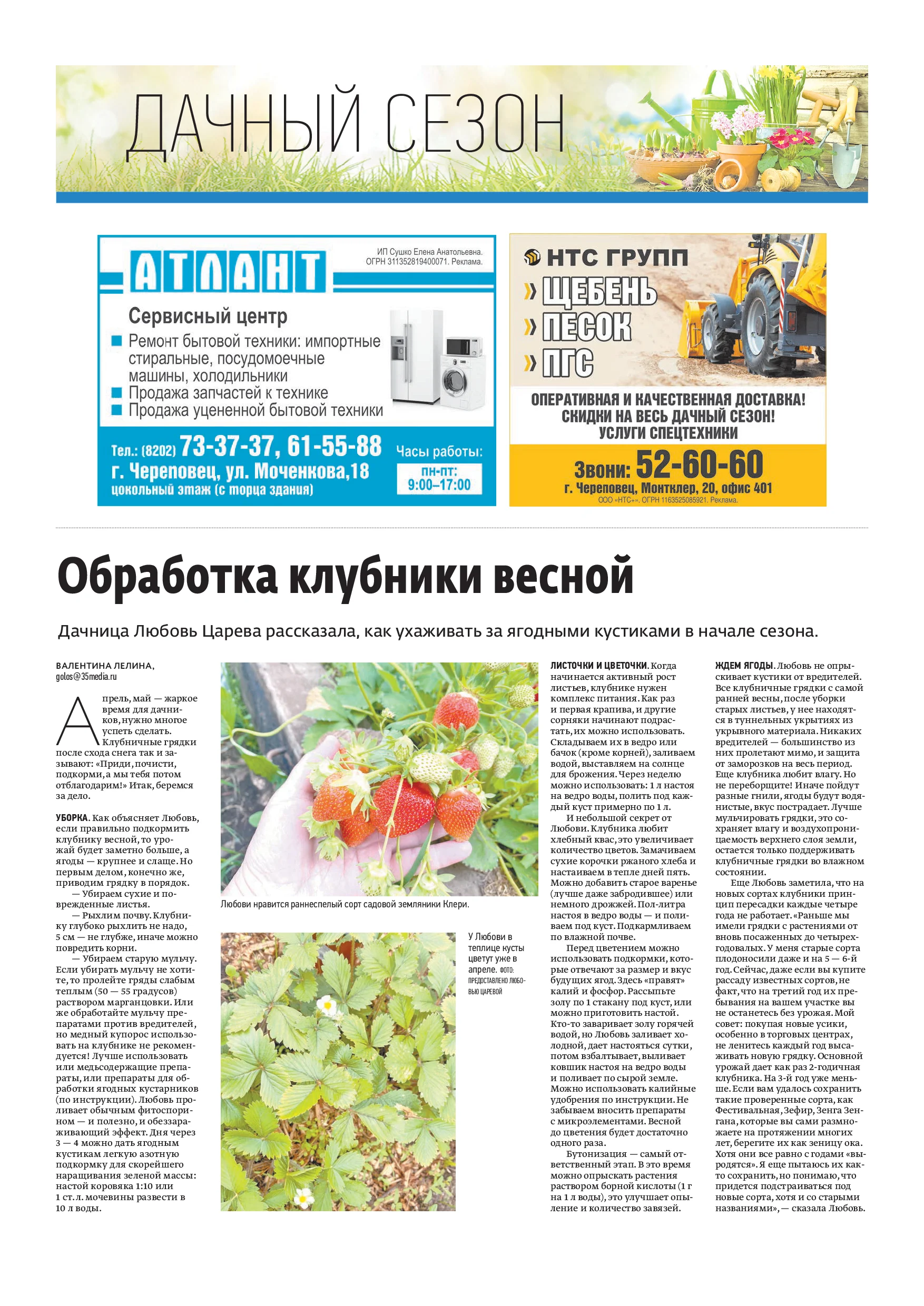 Страница 11