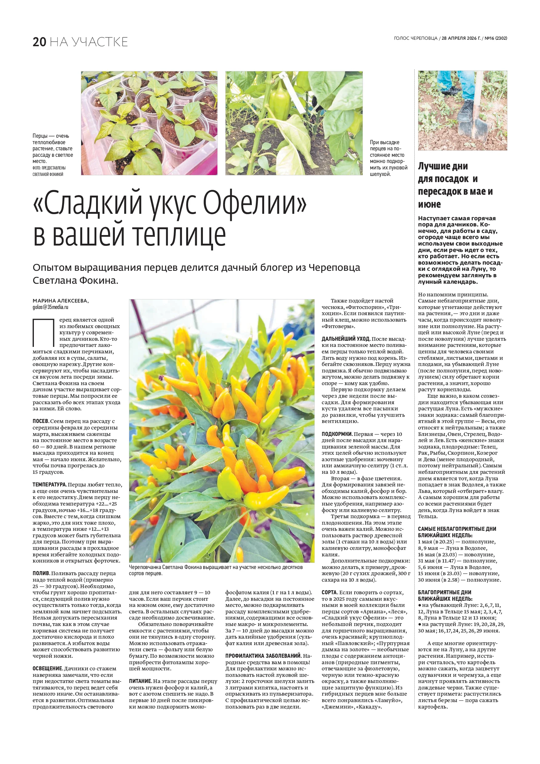 Страница 12