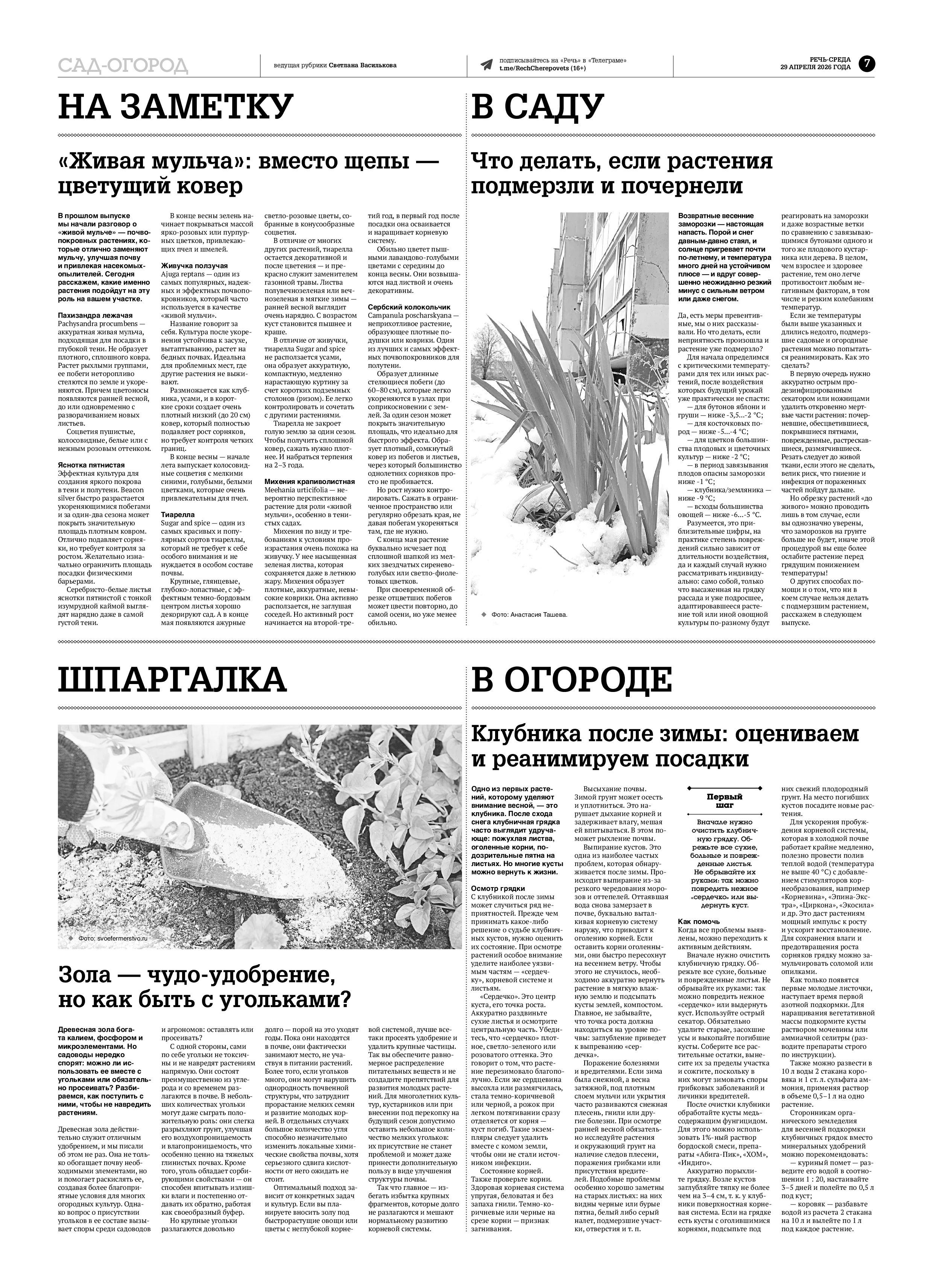 Страница 7