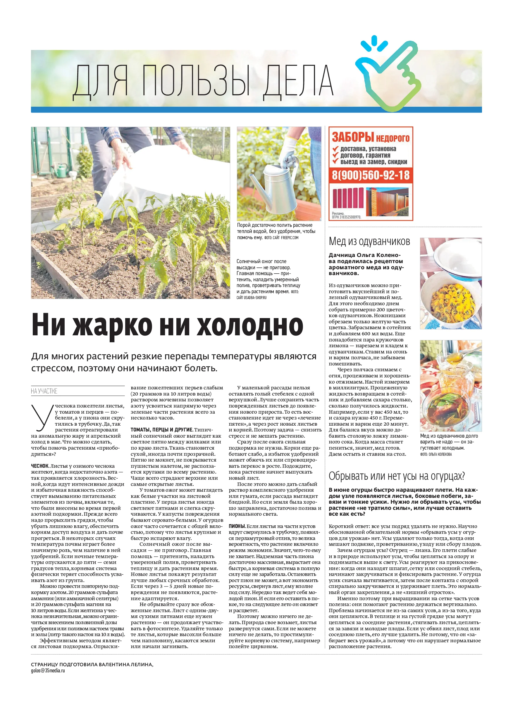 Страница 11