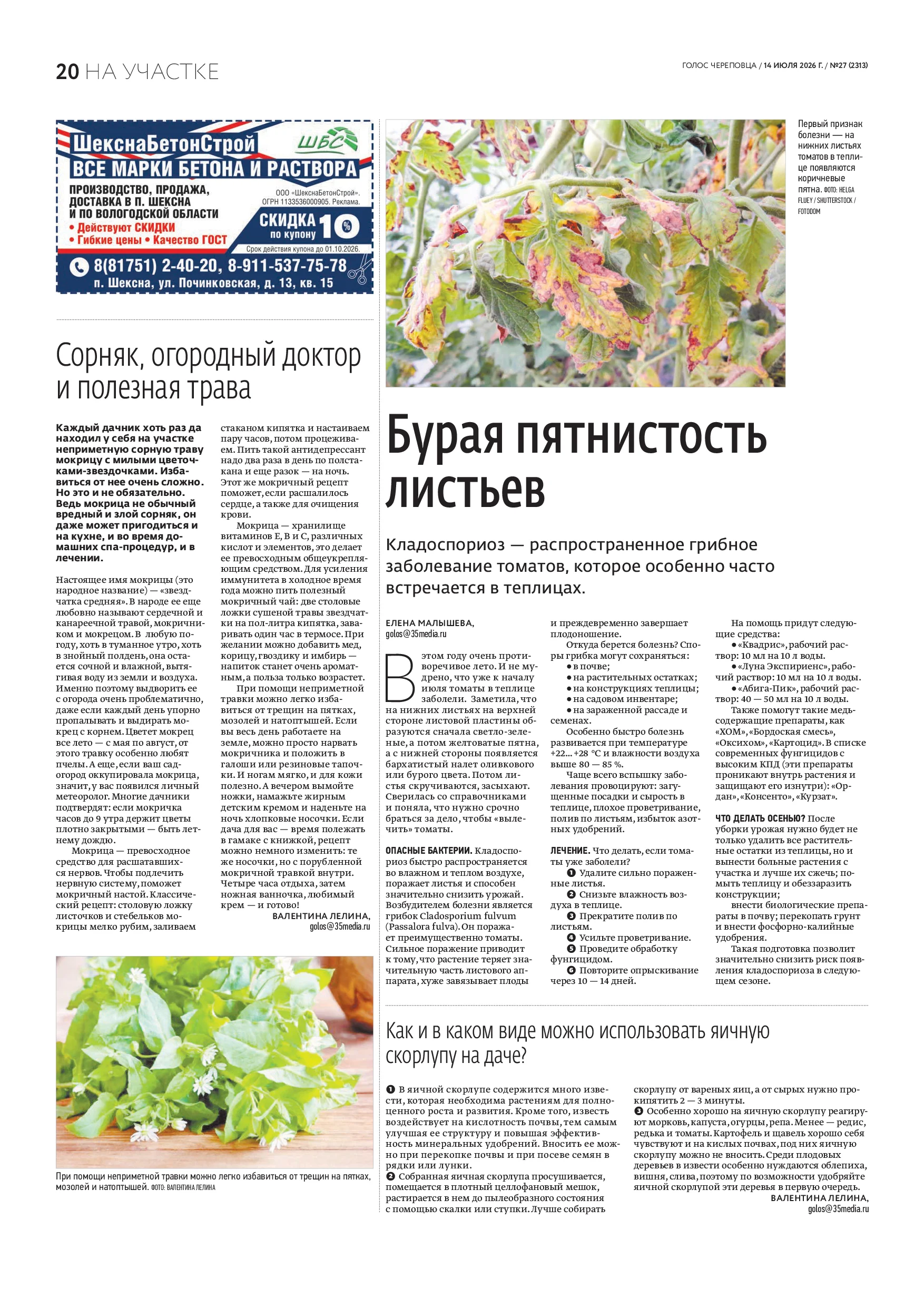 Страница 12