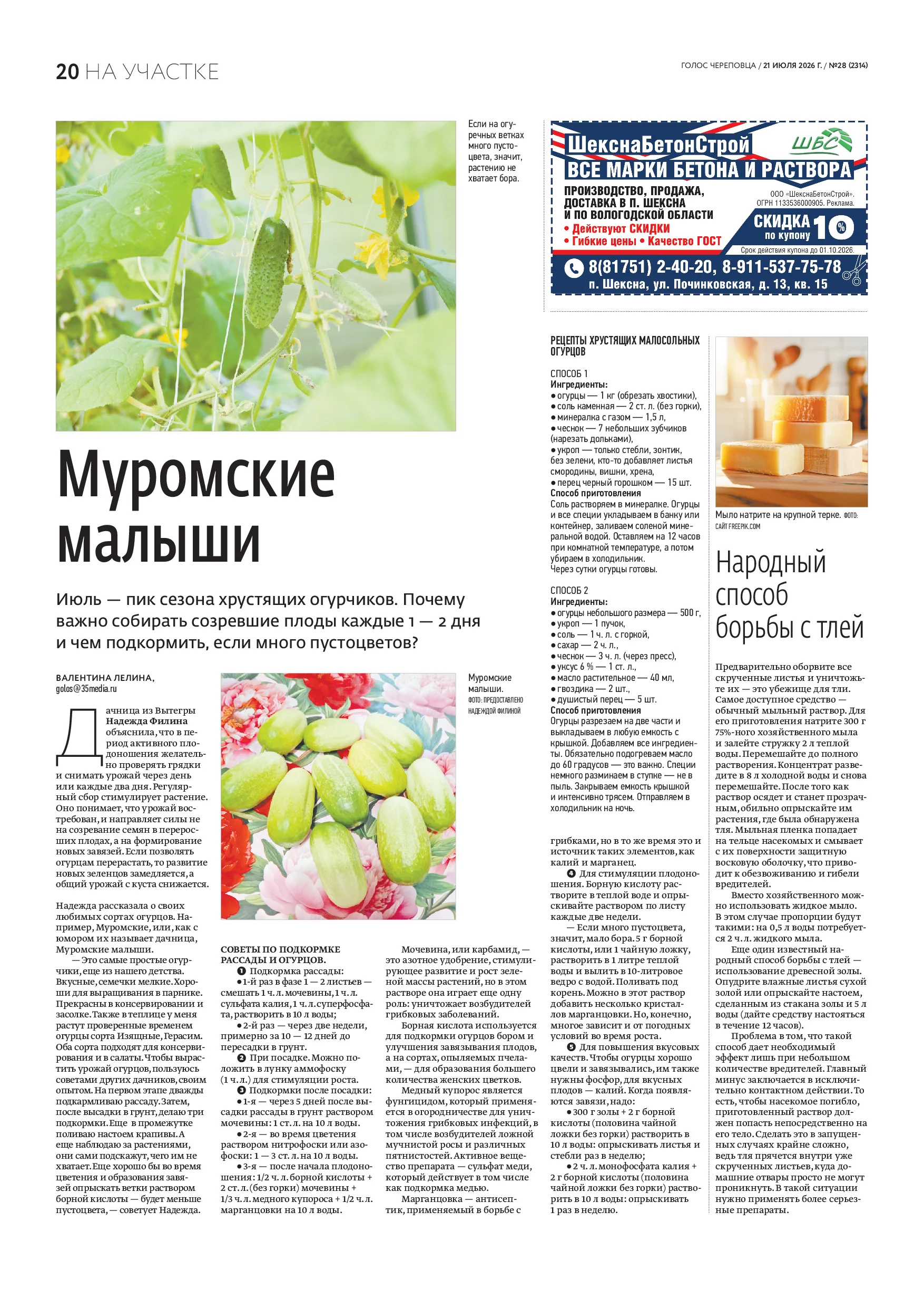 Страница 12