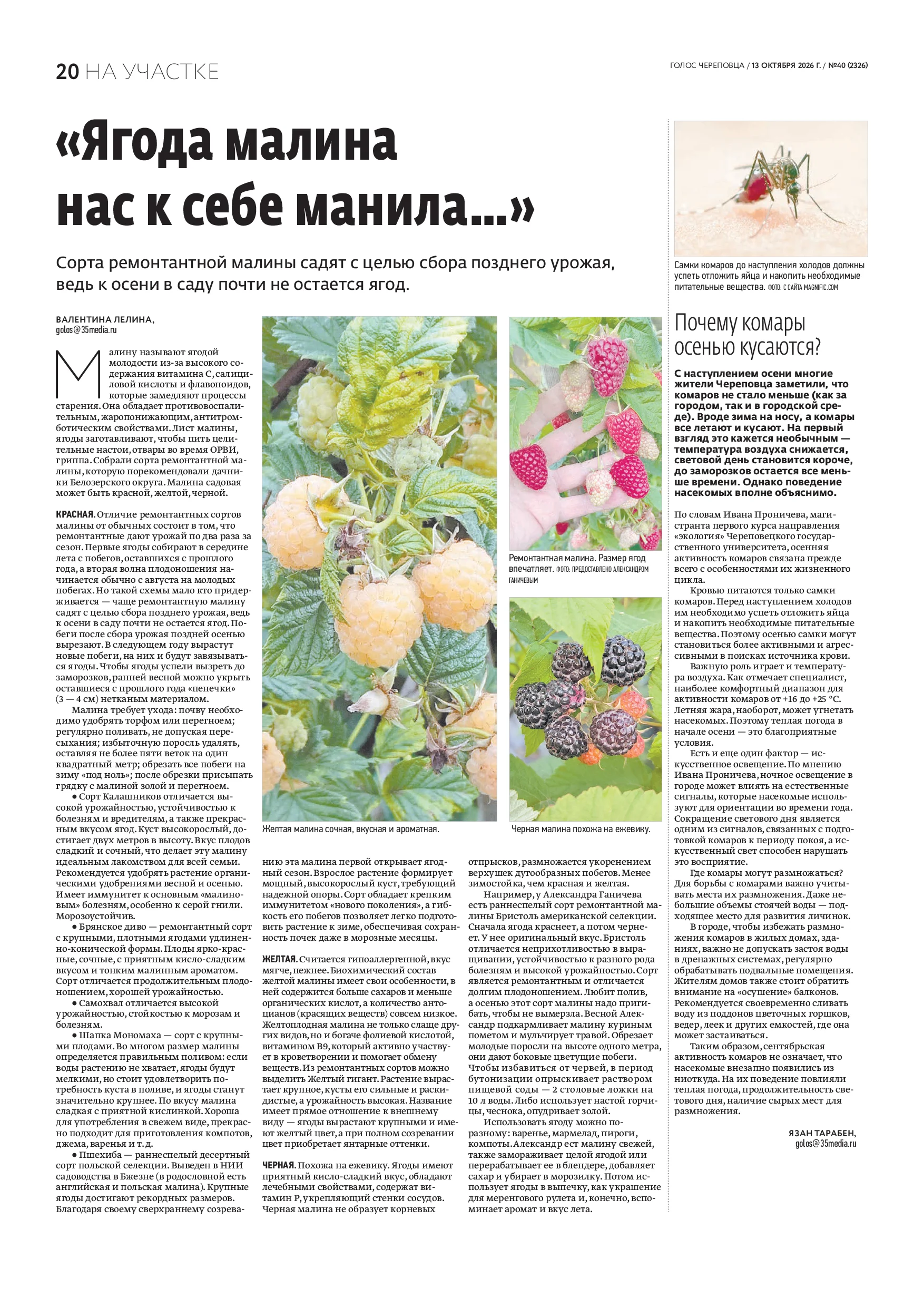 Страница 12