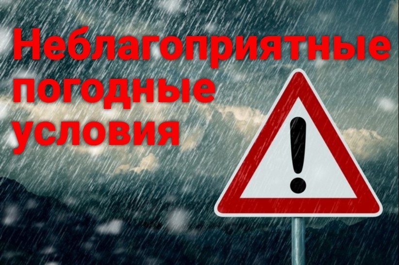 Шашлыки в субботу отменяются? На Вологодчине снова ждут снег