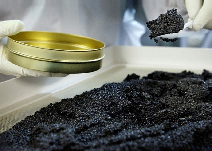 OH-0stWSrUg.jpg OH-0stWSrUg.jpg