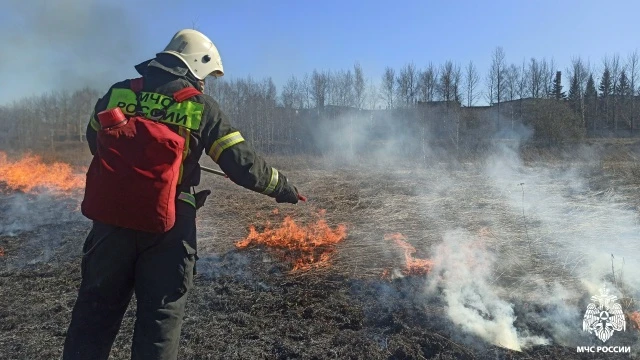 На Вологодчине за день произошло четыре пала травы