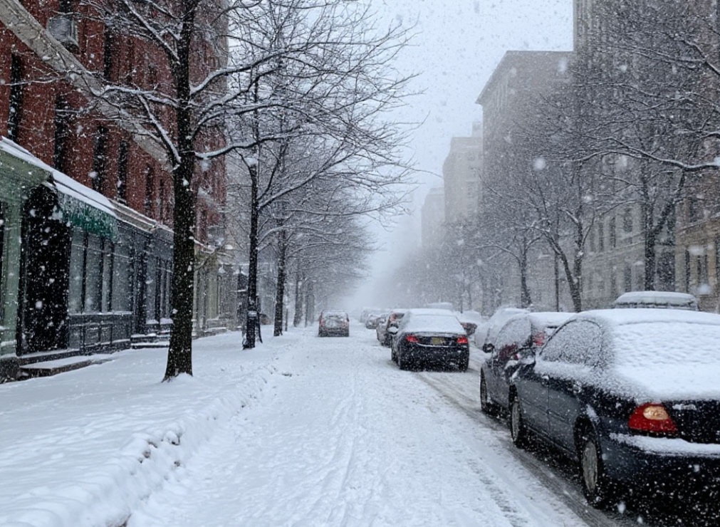 43eded85c37b11f0a92892d2cb9c41e8_1.jpeg 43eded85c37b11f0a92892d2cb9c41e8_1.jpeg