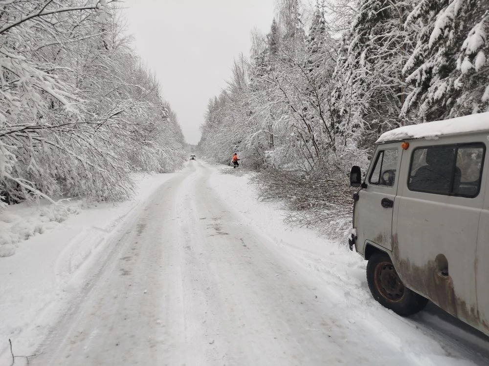 Носков.jpg Носков.jpg