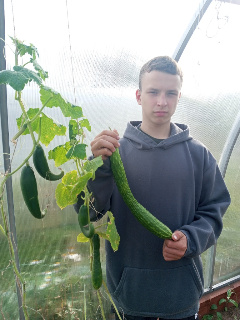 1 Китайский император. Длинные, но на вкус не очень.jpg