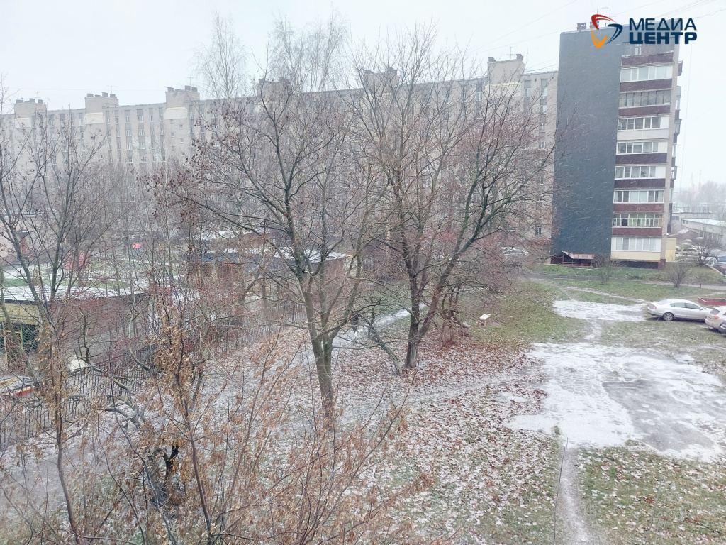 20251115_102411.jpg 20251115_102411.jpg