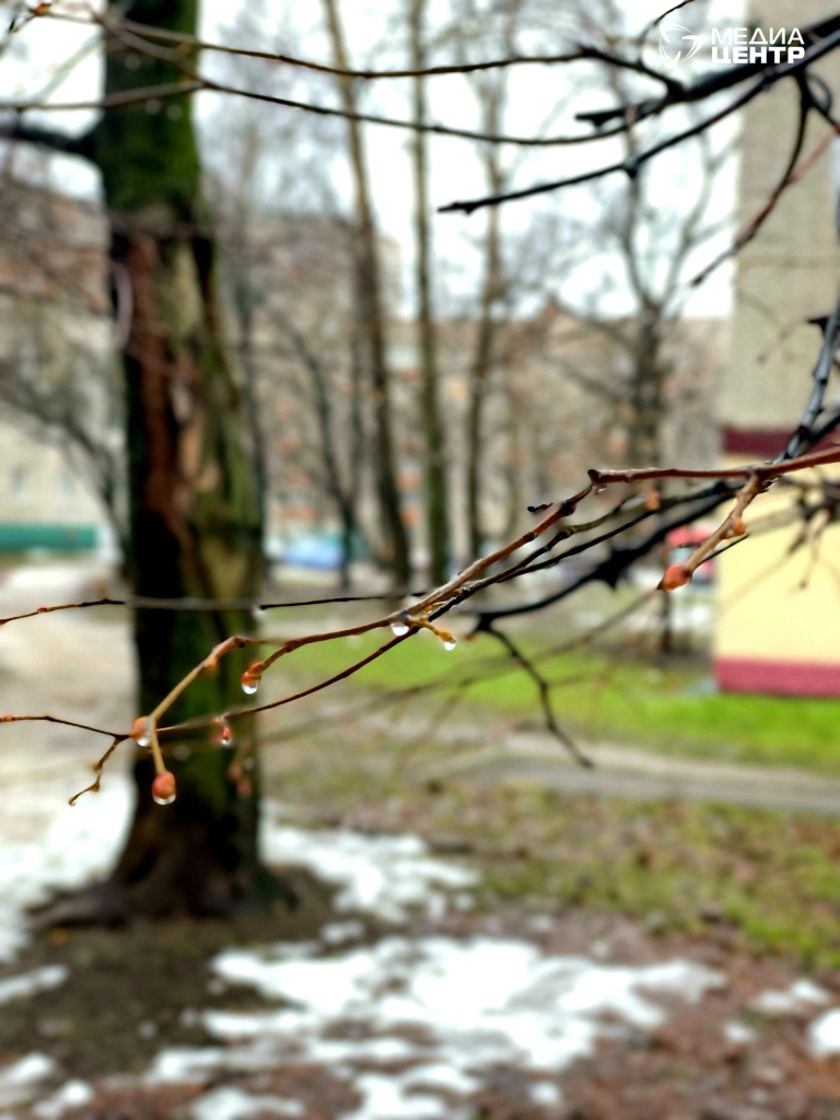 погода весна.jpg