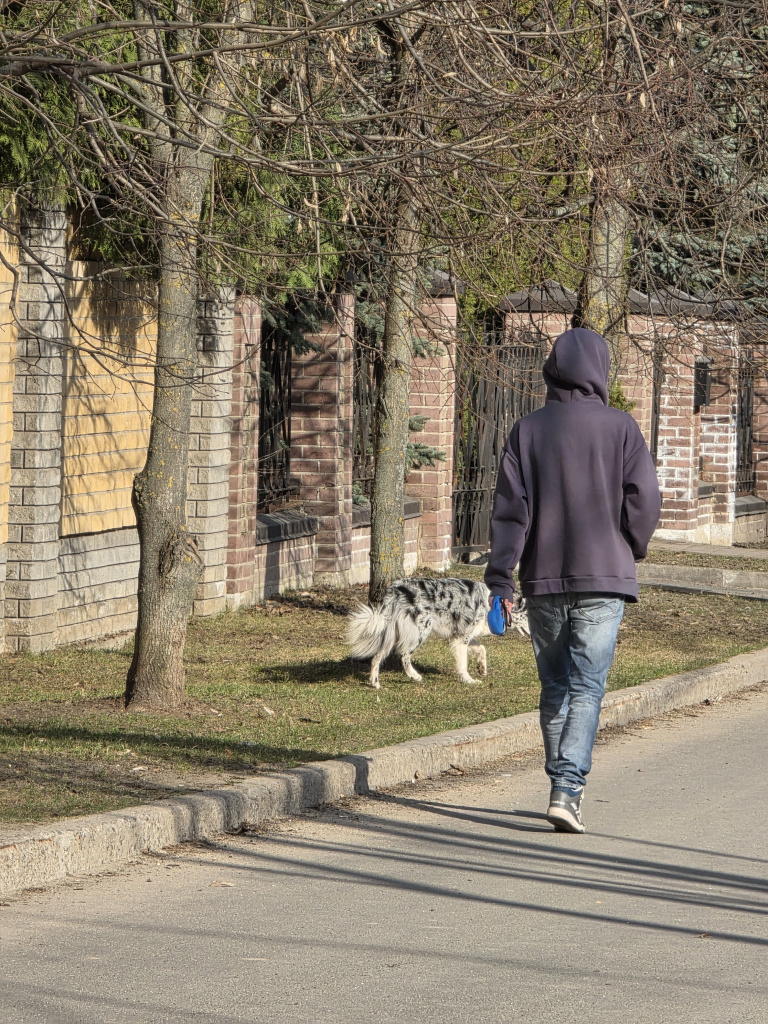 собака зеленая зона.jpg собака зеленая зона.jpg