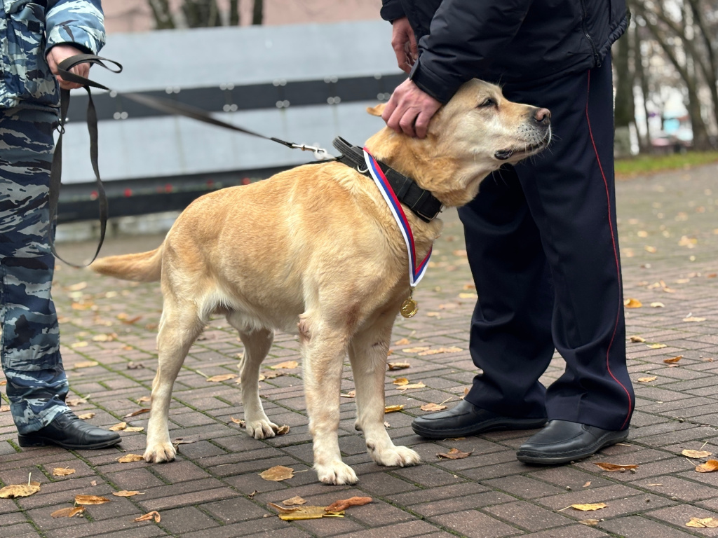 R4MpmqeZJZpEUe8jH7RtSBdKK9Jar7gzQkJvo89WGOICE-kCXt8J0PWxQSP4b-8QC2PXc88g6uA72dFGomrhkRei.jpg R4MpmqeZJZpEUe8jH7RtSBdKK9Jar7gzQkJvo89WGOICE-kCXt8J0PWxQSP4b-8QC2PXc88g6uA72dFGomrhkRei.jpg