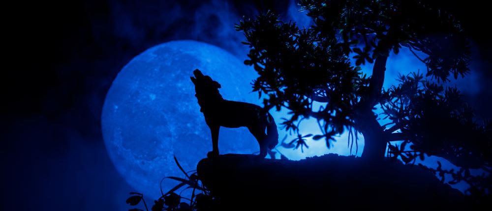 IMG_20260103_215251_664.jpg IMG_20260103_215251_664.jpg