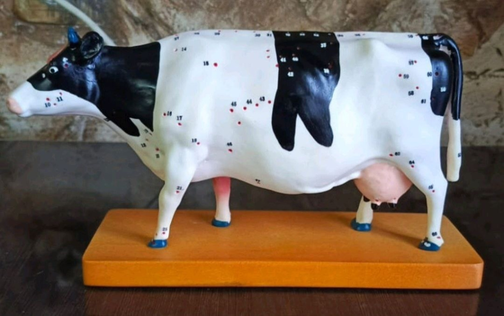 k1aTruPfGI1LEydMW4un71COsxaBJete8Pqpe7So0XhiHAA-gwO7WvyPhOgJt5JOaiDJbwNhJRHdv7XLN2a-zqPh.jpg k1aTruPfGI1LEydMW4un71COsxaBJete8Pqpe7So0XhiHAA-gwO7WvyPhOgJt5JOaiDJbwNhJRHdv7XLN2a-zqPh.jpg