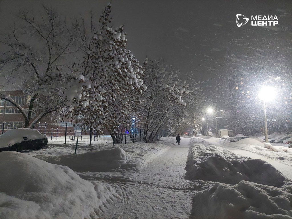 метель зима мчс 1.jpg