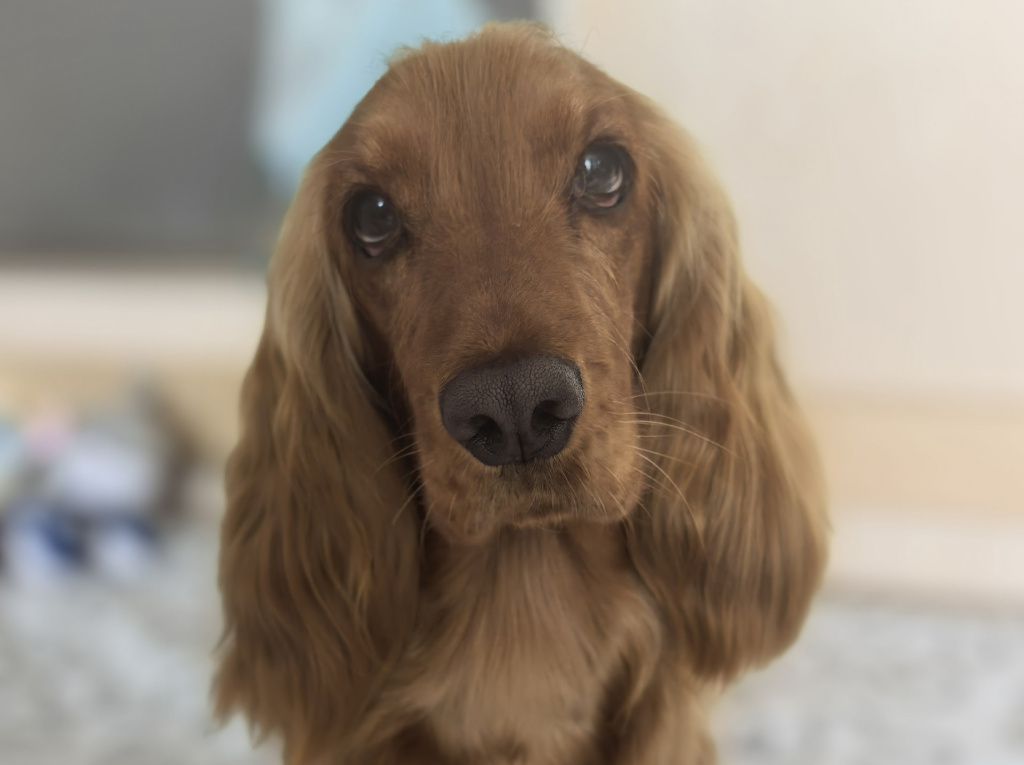 xBmBvPr8r2KJRnE0pH98h3NDG6X6fZKR--9Ring71udxP2WCRmRPgenYhzeSu9LexGKYoca1xMvESQAHlgmQhY7o(1).jpg xBmBvPr8r2KJRnE0pH98h3NDG6X6fZKR--9Ring71udxP2WCRmRPgenYhzeSu9LexGKYoca1xMvESQAHlgmQhY7o(1).jpg