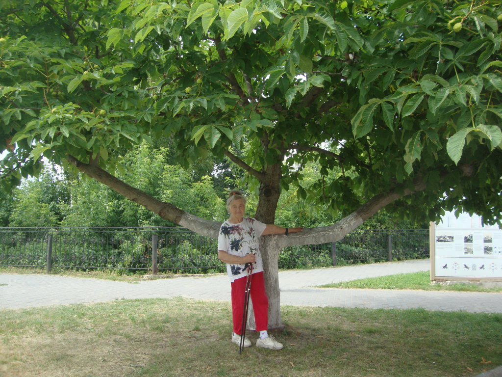 3 Нижний.jpg 3 Нижний.jpg