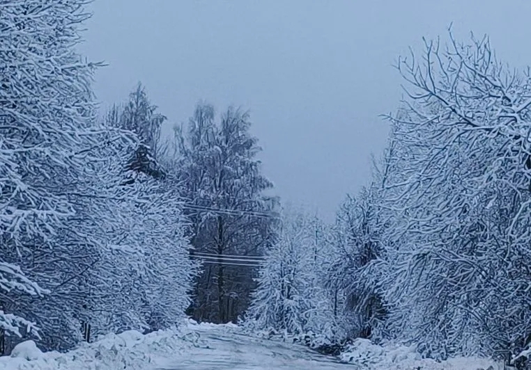 снег и свет.jpg