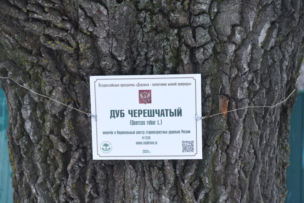 Табличка (1).JPG