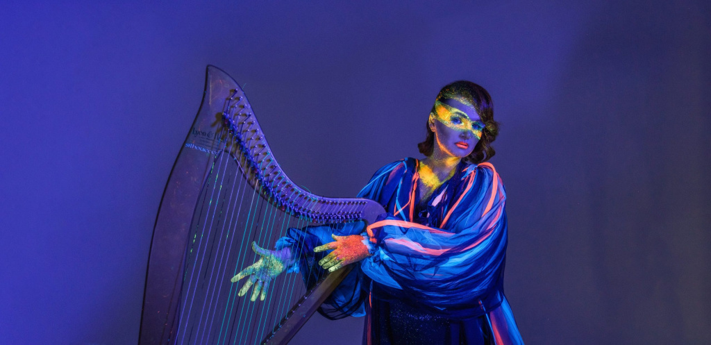 11.01 камерный арфа в темноте.jpg 11.01 камерный арфа в темноте.jpg