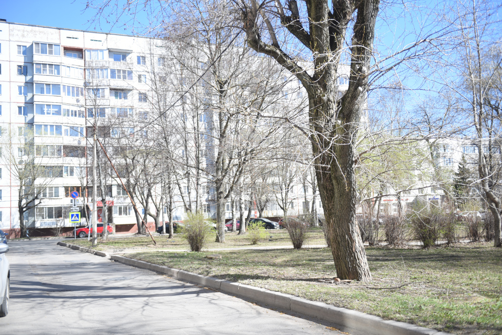 сквер Северянина 4.JPG