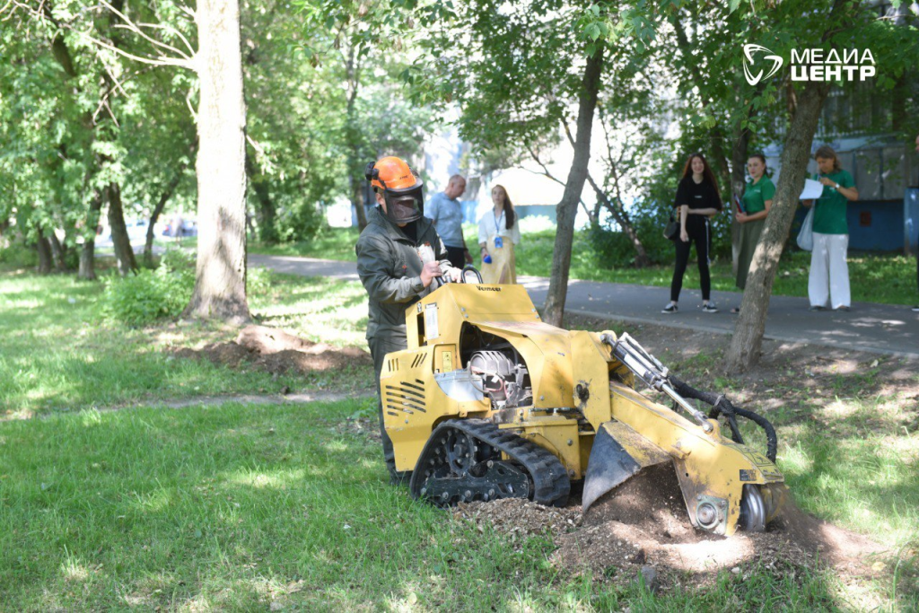 пни.png пни.png