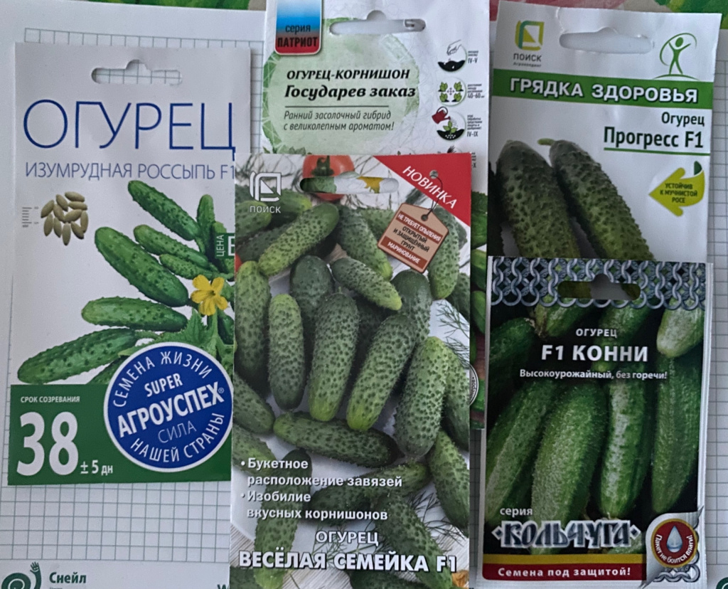 4 Семена Любови.jpg