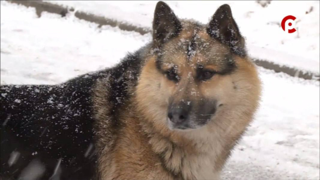 IMG_20260103_232747_092.jpg IMG_20260103_232747_092.jpg