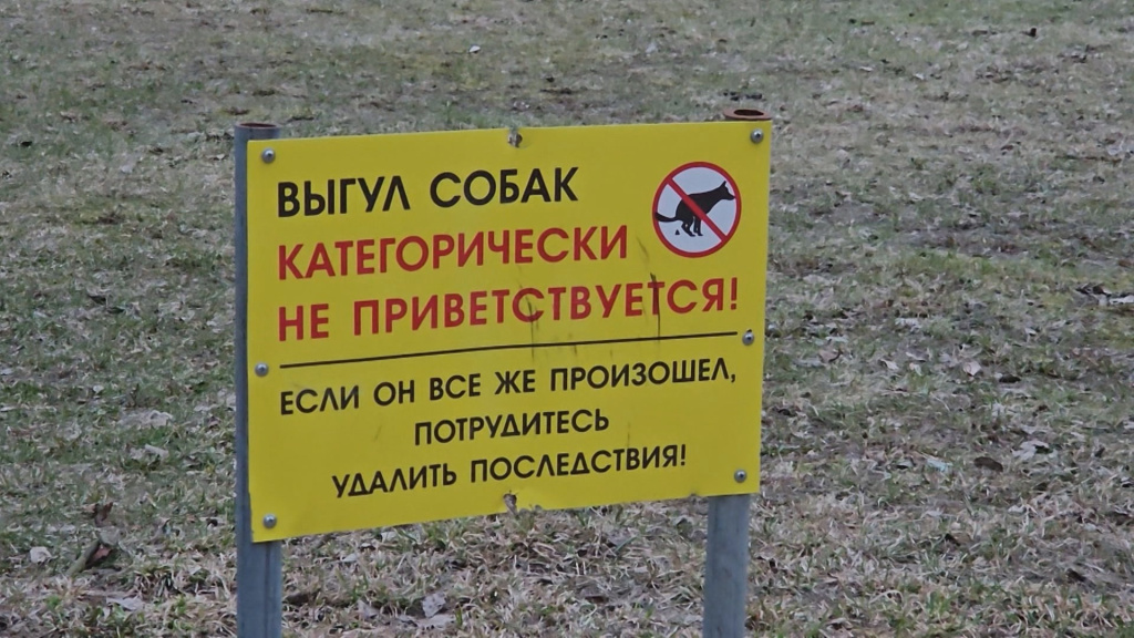 xuoWH1TM_nc.jpg xuoWH1TM_nc.jpg