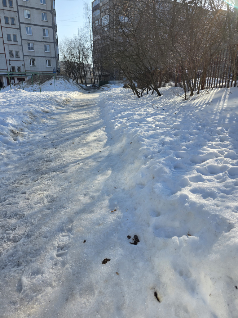 экскременты.jpg экскременты.jpg