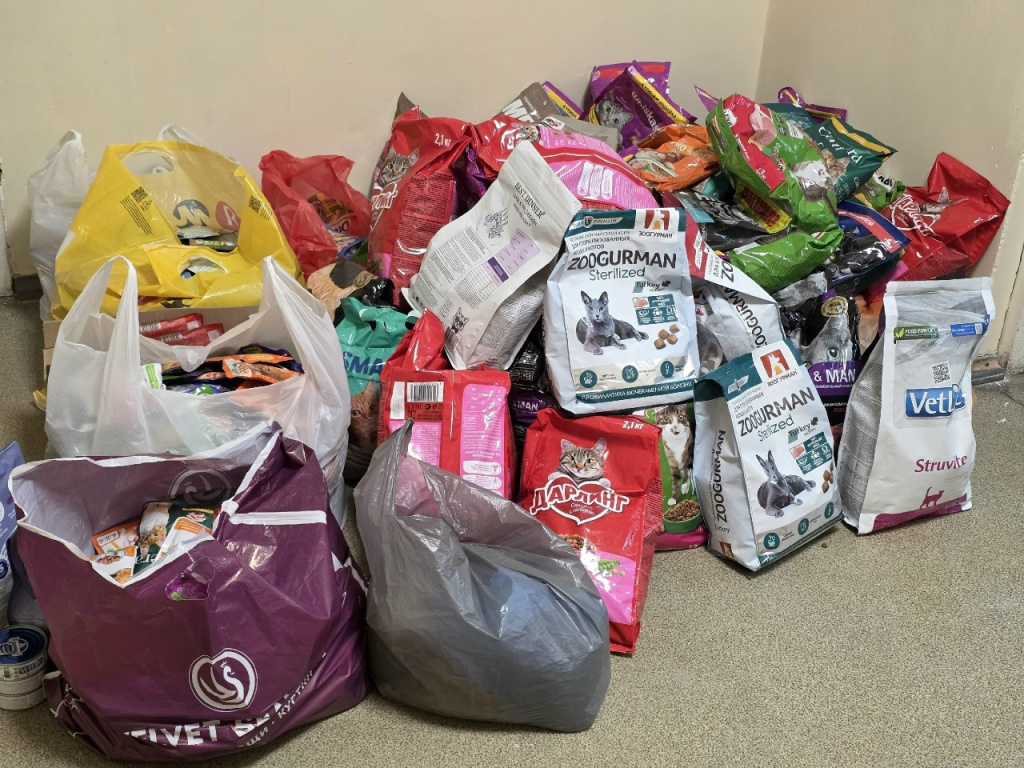 6 гуманитарка.jpg