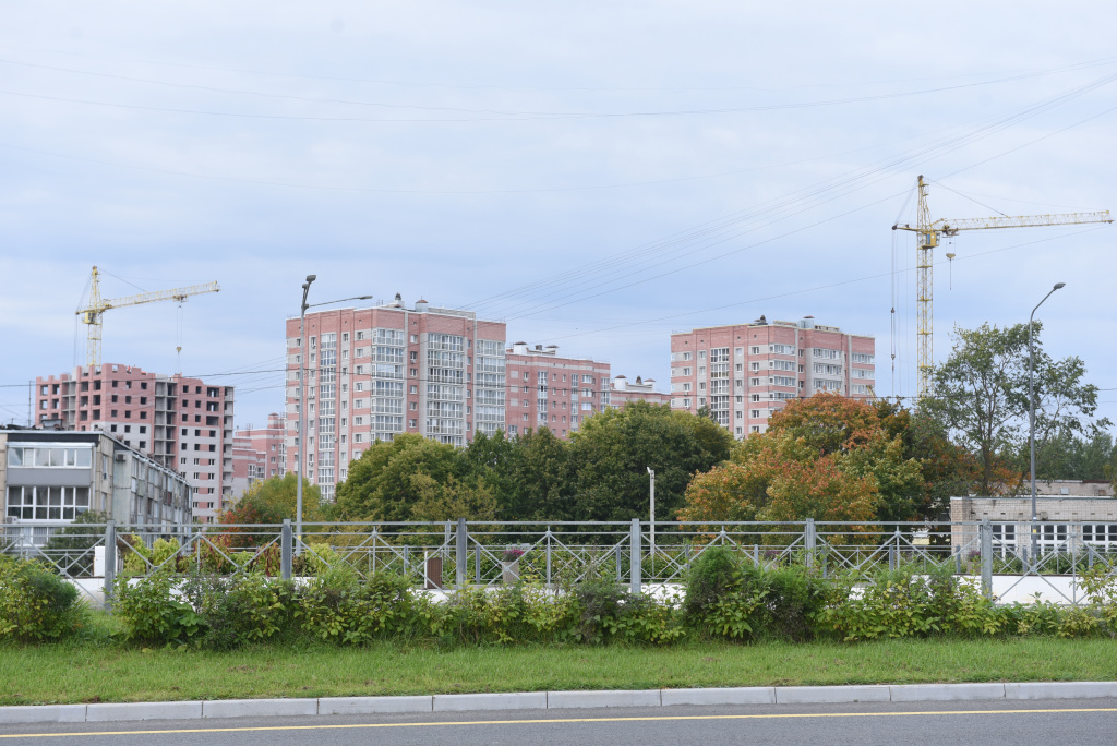 M0L_4886.JPG