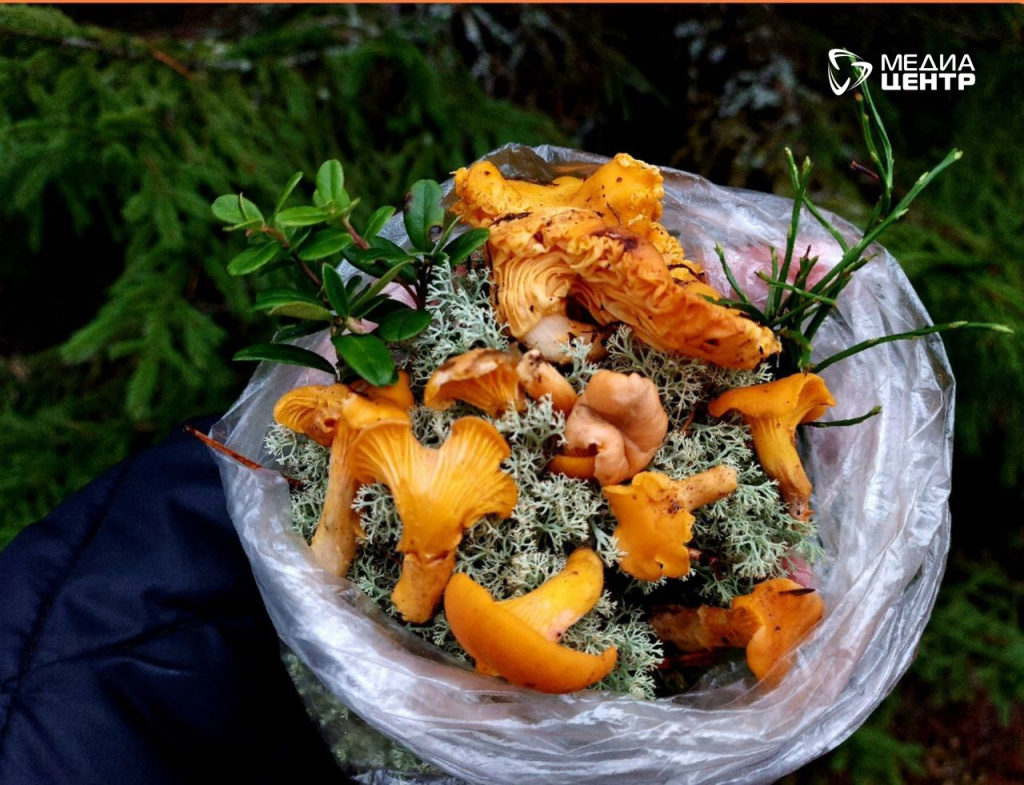 IMG_20251203_074513_853.jpg IMG_20251203_074513_853.jpg