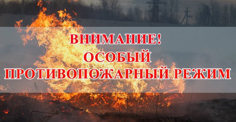 cf2bef20-f274-4d9b-b5e5-ee49b325c4cb.jpg cf2bef20-f274-4d9b-b5e5-ee49b325c4cb.jpg