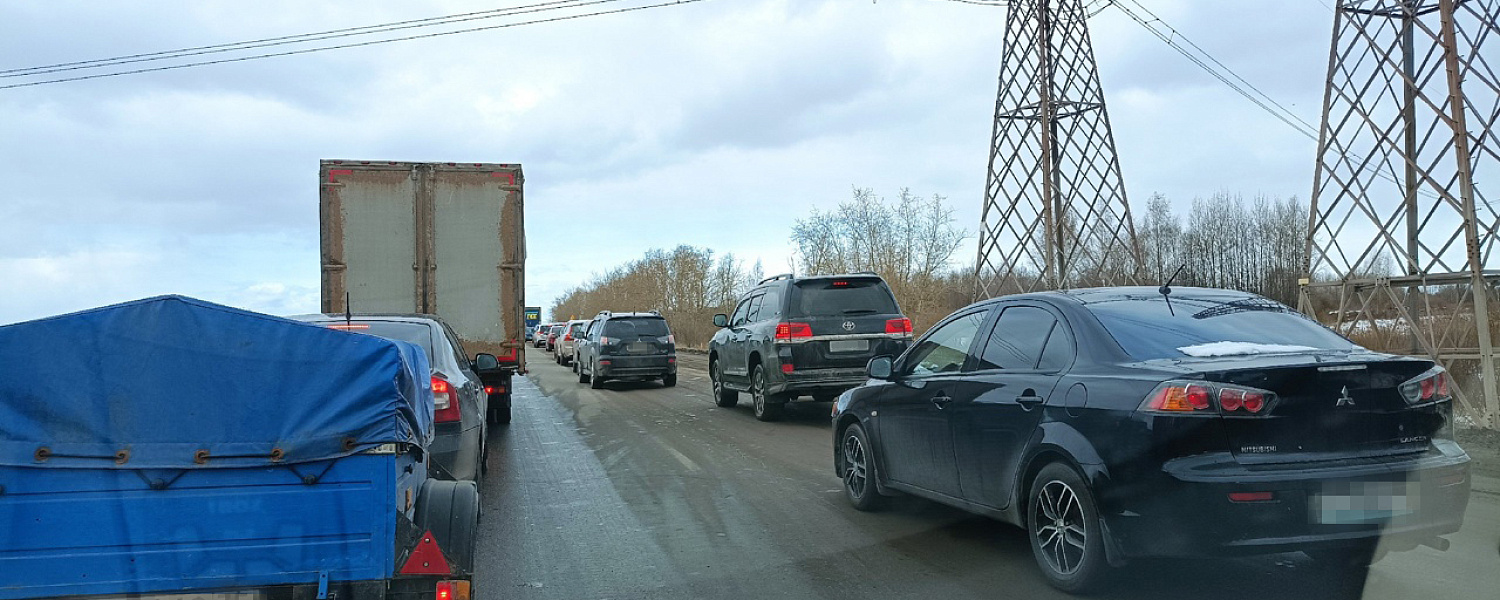 Дачникам помогут уехать из города