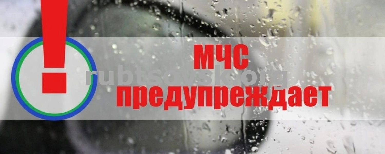 На Вологодчину идут осадки и усиление ветра